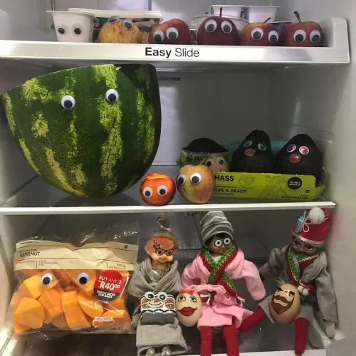 The fridge comes to life