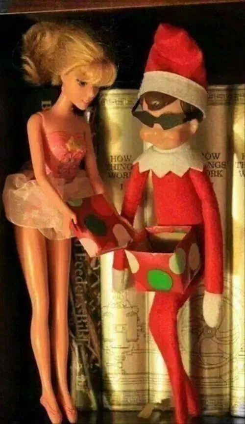 Adult Elf On The Shelf Humour