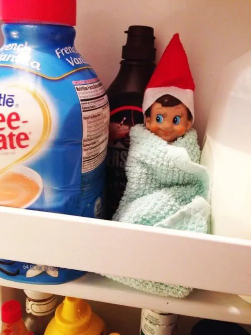 Elf in the fridge