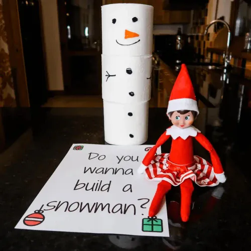 The Toilet Roll Snowman