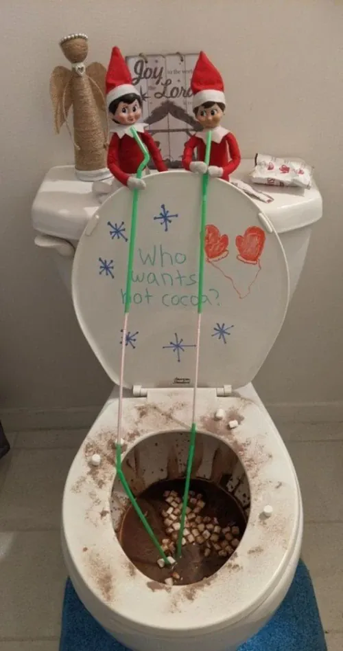 Toilet Cocoa