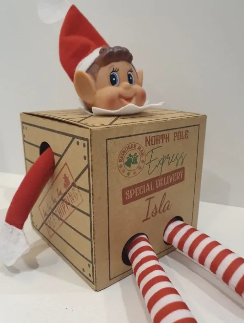 elf-on-the-shelf-arrival-2023-funny-box