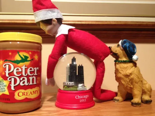 Elf On The Shelf Rude Dog Act