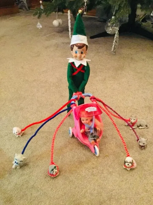 Taking the dogs for a walk