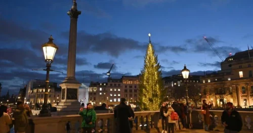 Why Does Norway Send London a Giant Christmas Tree Every Year?
