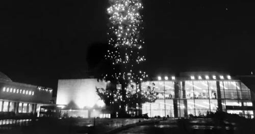The Tallest Christmas Tree Ever: A Towering Holiday Wonder
