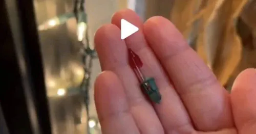 Some people have only just found out what the red tree light is for