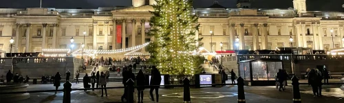 Why Does Norway Send London a Giant Christmas Tree Every Year?