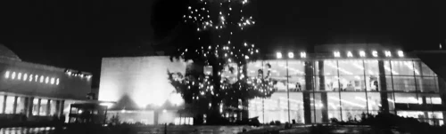 The Tallest Christmas Tree Ever: A Towering Holiday Wonder