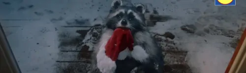 Lidl's 2023 Christmas advert arrives