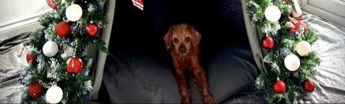 How to make a Tipi Christmas Tree