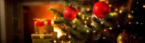 Don't dispose of your real Christmas tree; eat it instead.